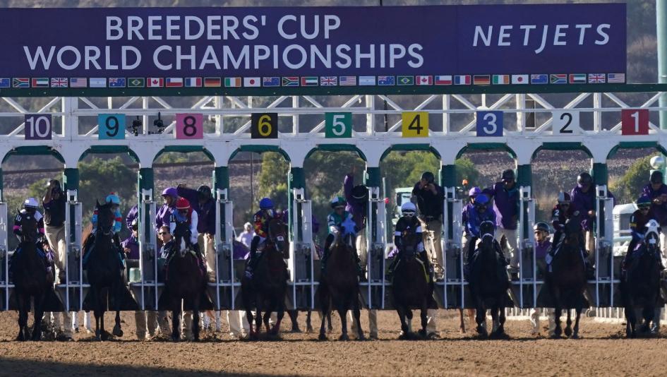 2025 Breeders' Cup Juvenile Fillies, Del Mar, America's Best Racing, horse racing, ABR